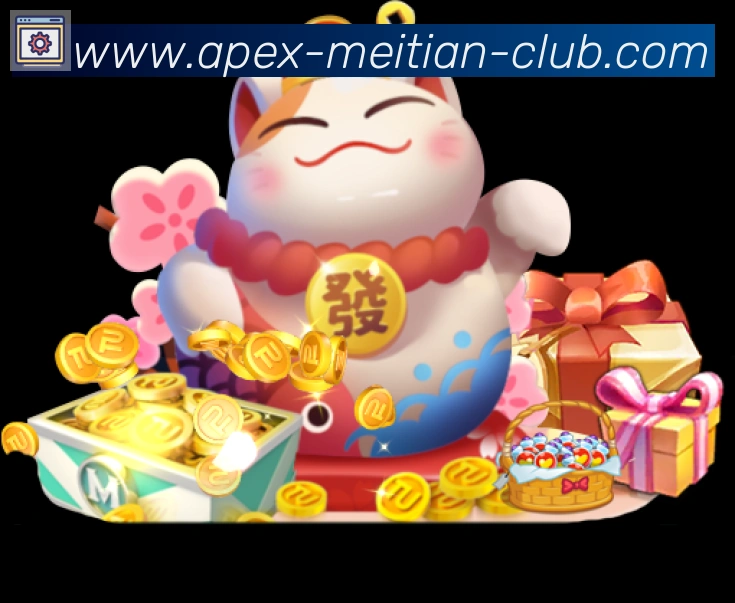 未来规划